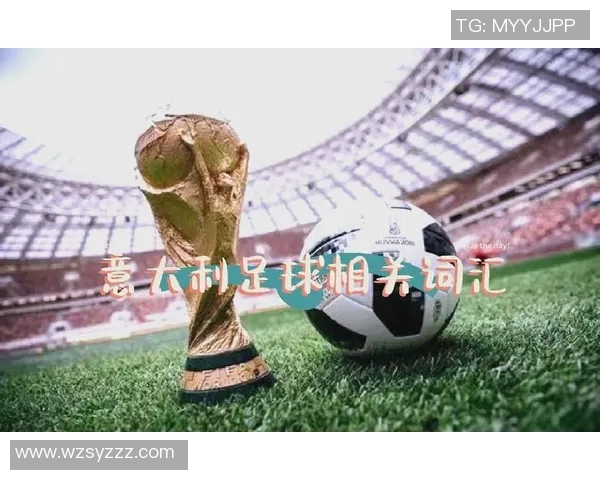 外国人如何评选足球明星揭示全球足球文化的多样性与影响力