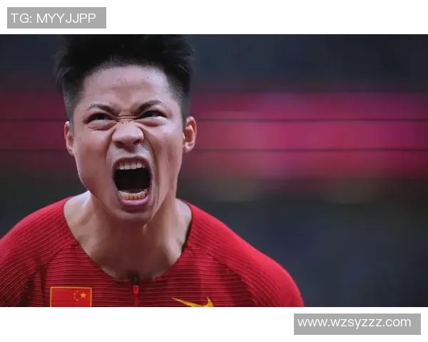 中国足球明星的奋斗历程与励志故事激励着无数年轻人追逐梦想